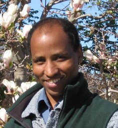 Getu Hailu