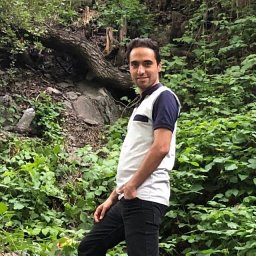 Amirmehran Mahdavi
