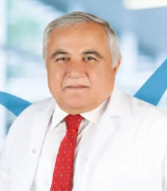Mehmet Dagli