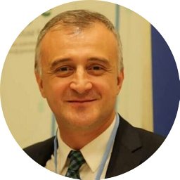 Ahmet Merev