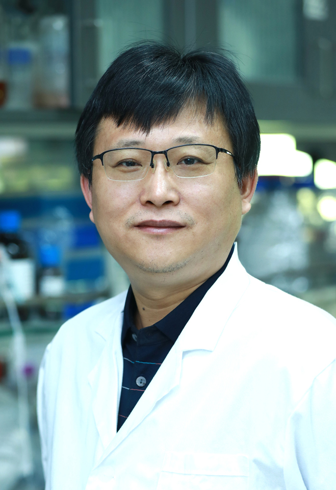 Maojun Yang