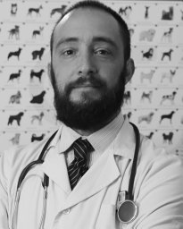 Manuel Alejandro Guevara