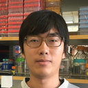 Zizheng Li