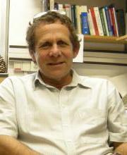 Hagai Bergman
