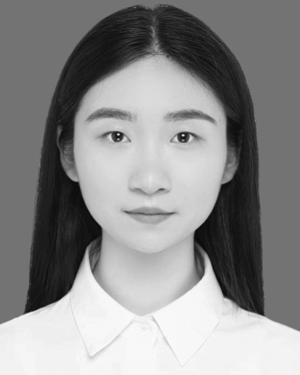 Qingying Hu