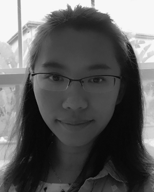 li Xiaochen