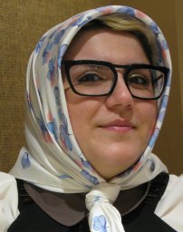 Safavi Shahideh