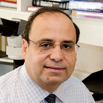 Mohamed Abdelhaleem