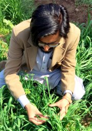 Aamir Iqbal