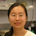 Linlin Li