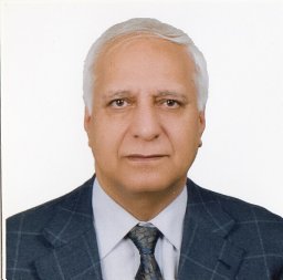 Amini Heydar