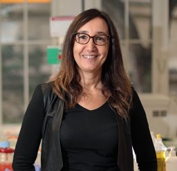 Chantal Desdouets