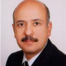 Ayman Sadek Ahmed El Faham