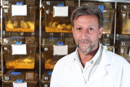 Lujan Hugo D