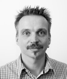 Dirk Schnelle-Walka