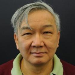 Moses H W Chan