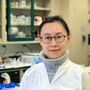 Yanbei Wu