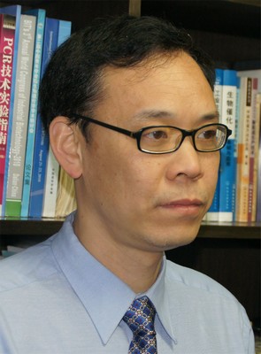 Hong Feng