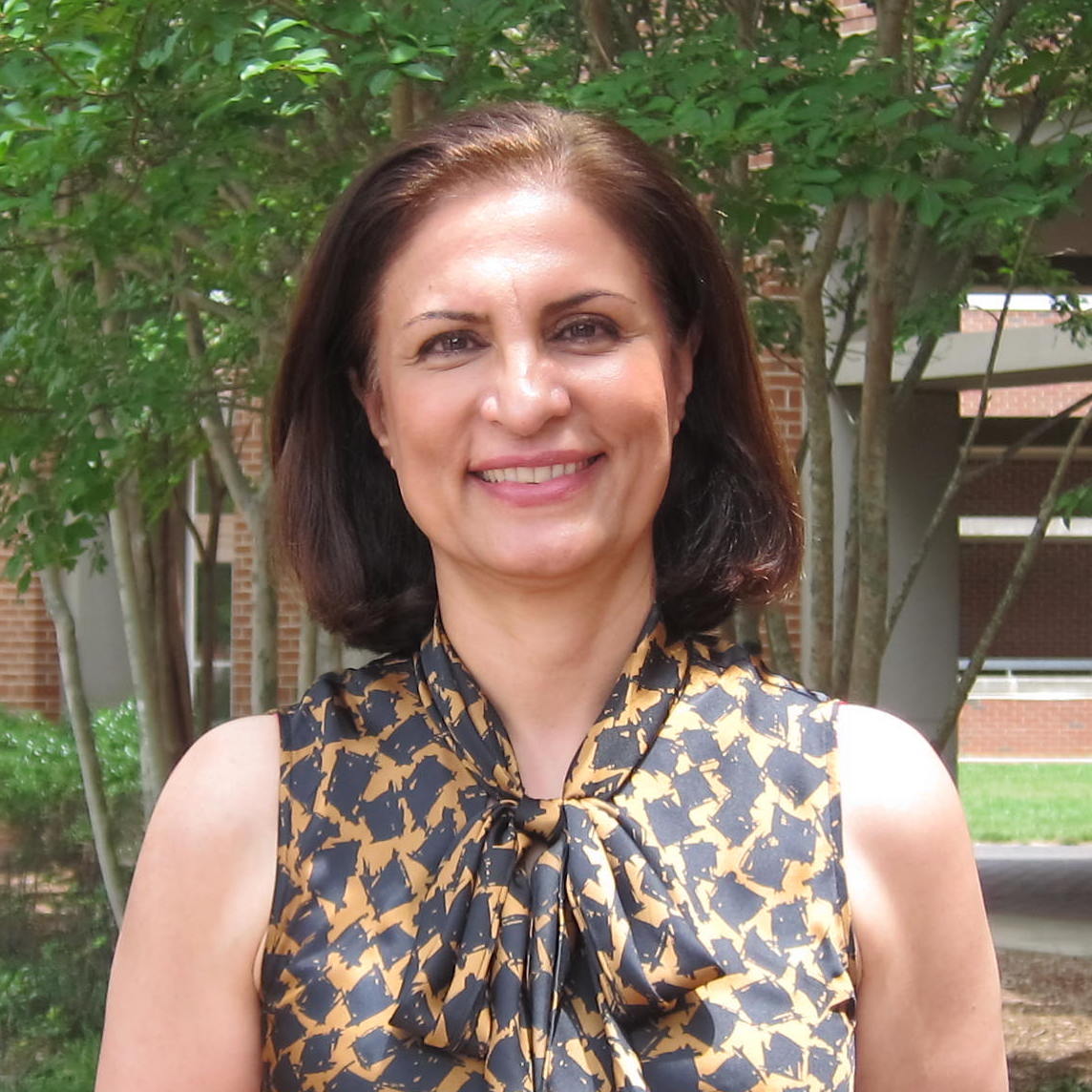 Afsaneh Rabiei