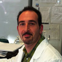 Matteo Lulli