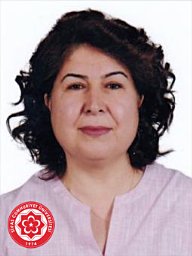 Aynur otag