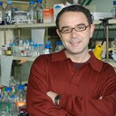 Antonio Muro