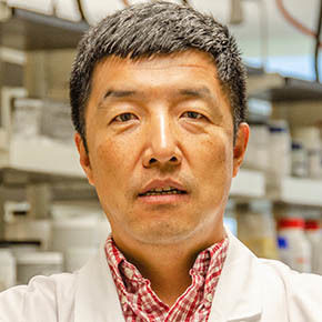 Xingbo Liu