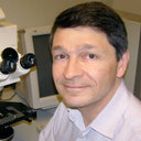Philippe Ciofi