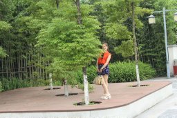 Bingjiao Fan