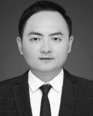 Hang Liu