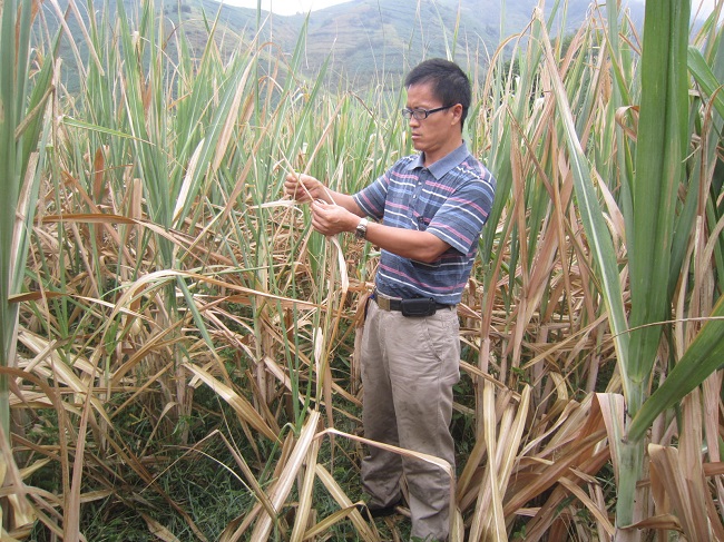 Yingkun Huang