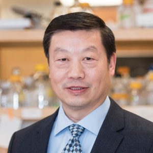 Weihong Song