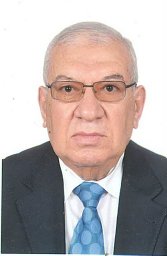 Mohamed A. Elnaghy