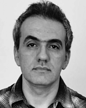 Babak Mahmoudi