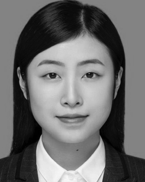 Leilei Wu