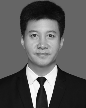 Wang Meng