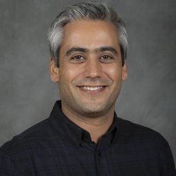 Mir Jalil Razavi