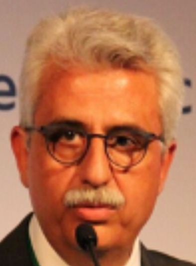 Grigorios Grimbizis