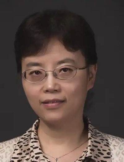 Hongjie Wang