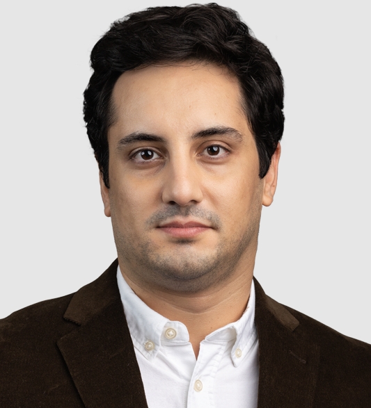 Shaahin Angizi