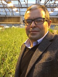 Mohsen Mohammadi