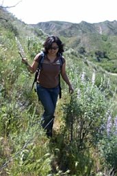 Daisie I. Huang