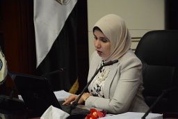 Yasmin M Ahmed