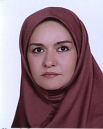 Afshar Mina