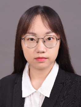Han Ding