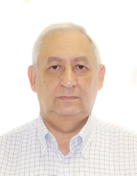 Tofig G. Mammadov