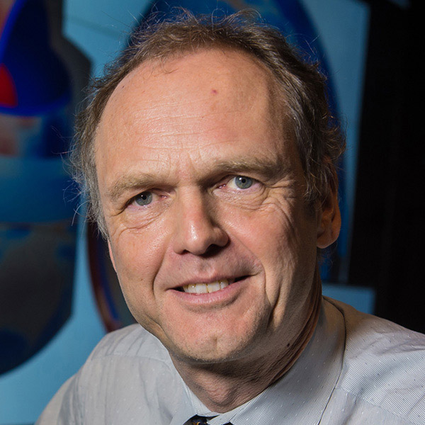 Maarten V. De Hoop