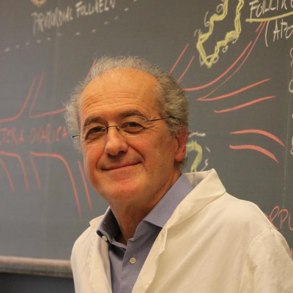 Marco Celio