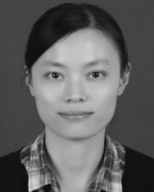 Jin Xie