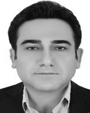 G.Reza Karimi